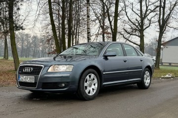 Bezwypadkowy, 10 lat w jednych rękach